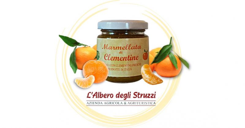 Occasione acquisto la migliore marmellata artigianale di clementine 200 gr online